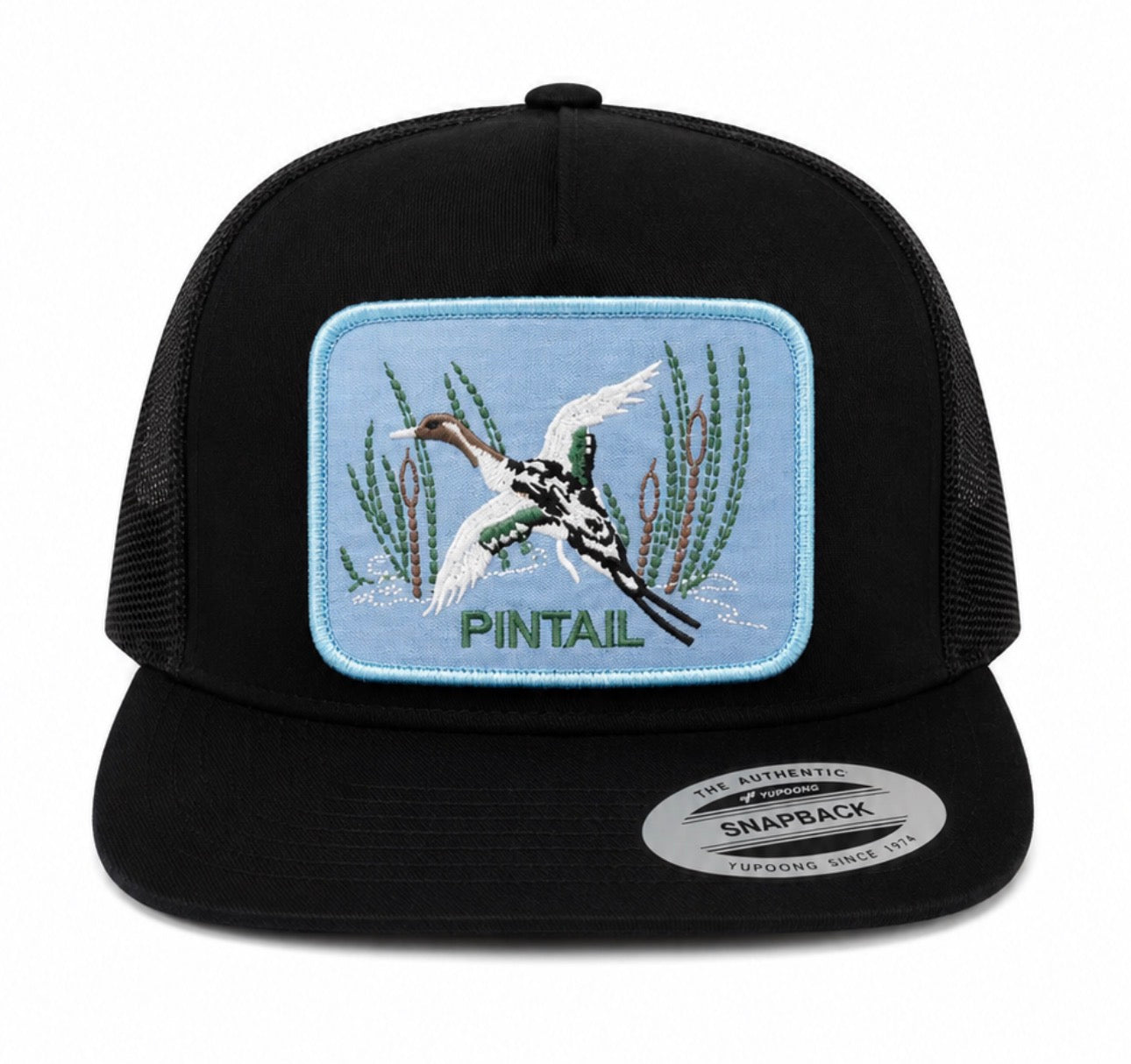 Pintail