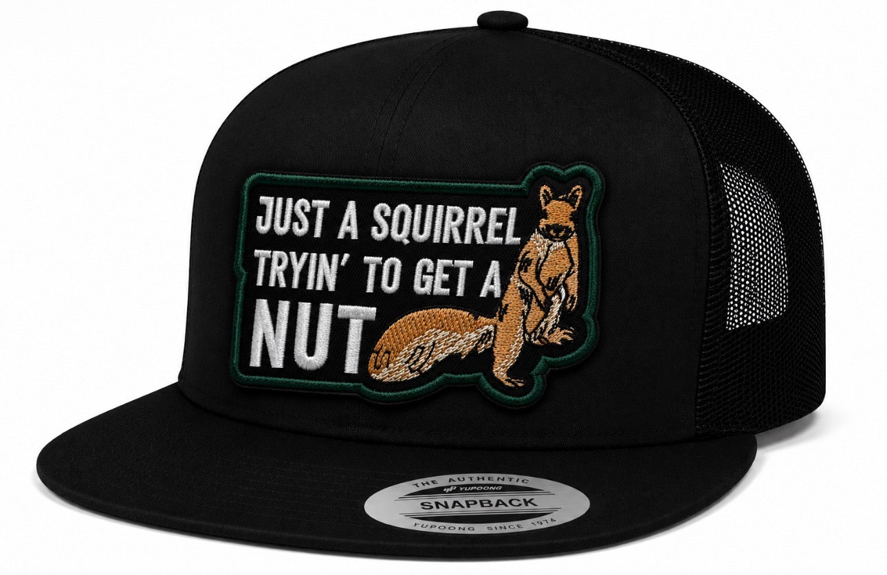 Just A Squirrel